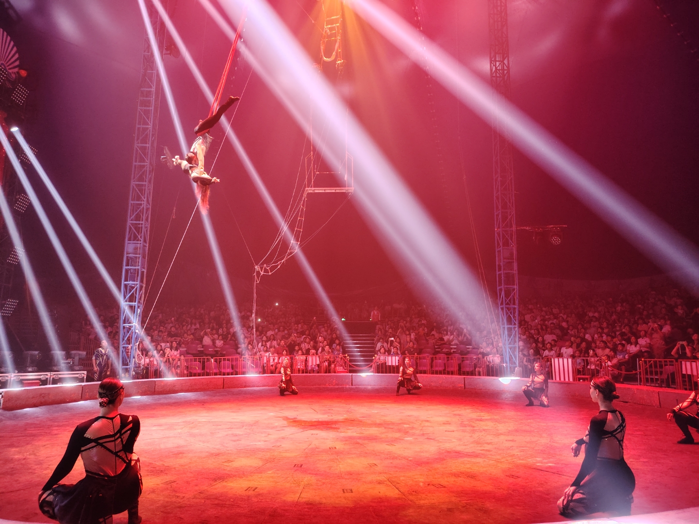 九游培训-包含精彩表演引无数观众尖叫不已的词条